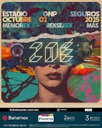 Home viaje concierto zoé